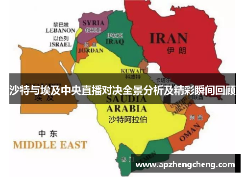 沙特与埃及中央直播对决全景分析及精彩瞬间回顾